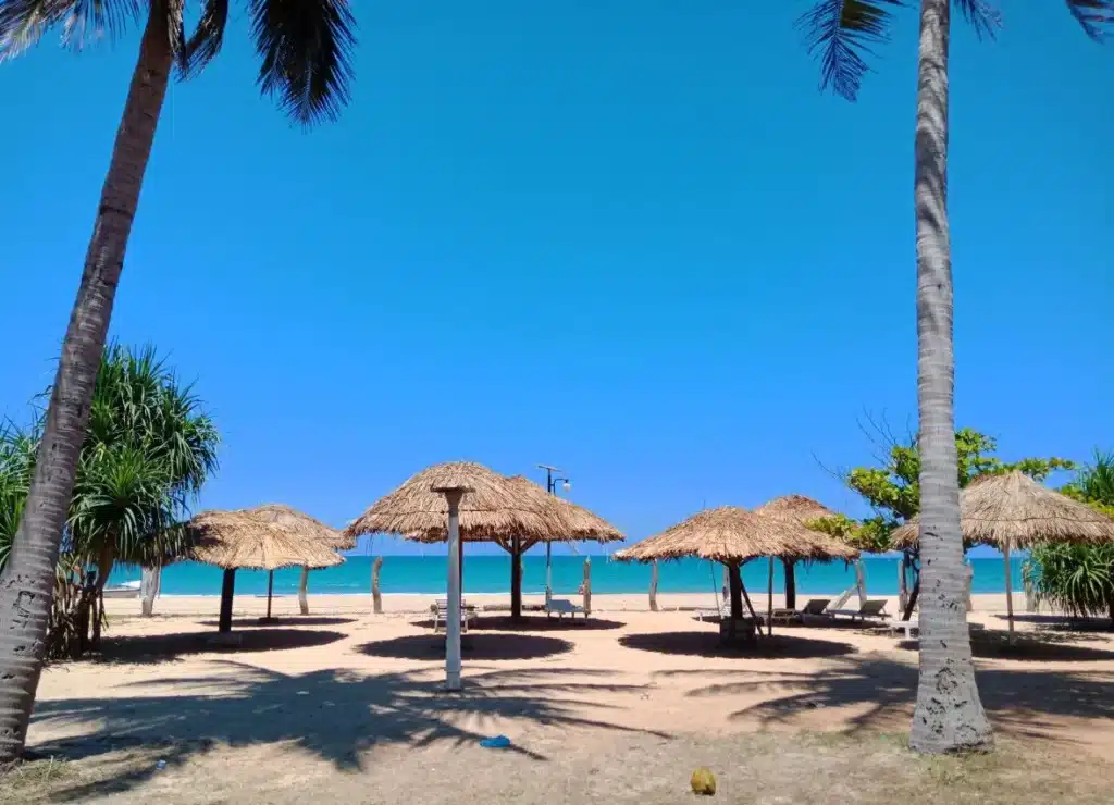 Thatched umbrellas and palm trees on tropical Nilaveli Beach, Sri Lanka.