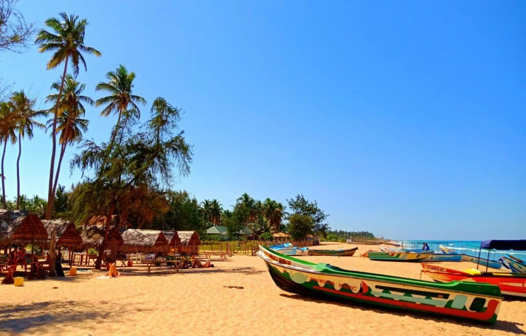 Colorful fishing boats on tropical Nilaveli Beach in Sri Lanka under swaying palm trees.