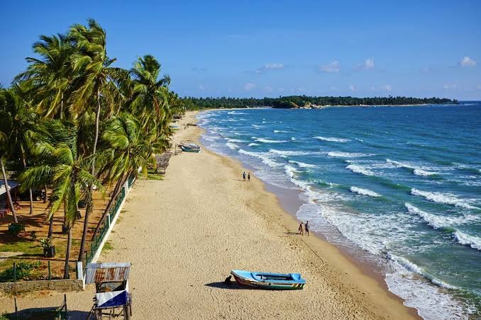 Tropical palm-lined beach with turquoise ocean waves, golden sand, and a small blue boat.