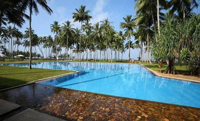 Tropical resort swimming pool lined with coconut palms near the ocean.