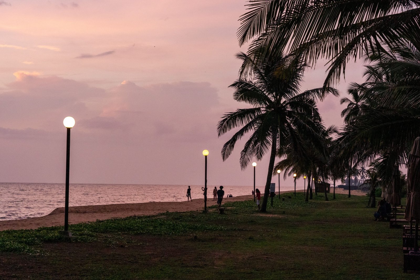Tropical beach promenade with glowing lamps and palm trees at sunset.