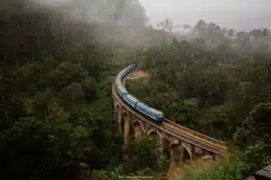 Blue passenger train crosses a curved stone viaduct through a misty tropical forest.
