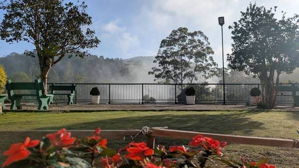 Misty waterfront park with red flowers, green benches, trees, and scenic lake views.