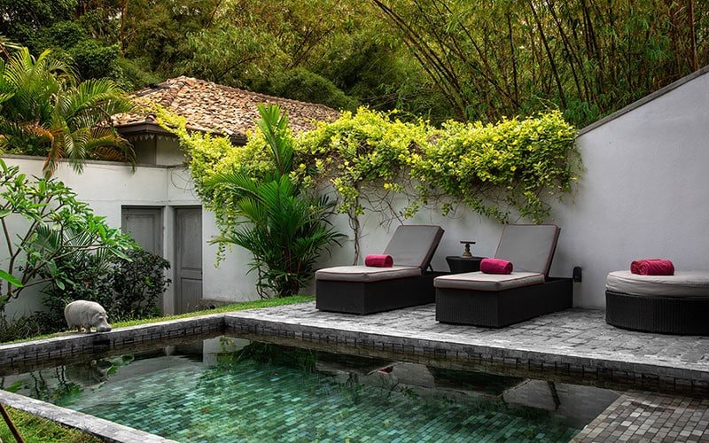 Private courtyard pool with wicker loungers and lush tropical garden greenery.