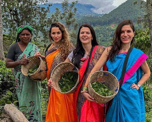 Four women carry baskets of freshly harvested leafy greens in a lush mountain village.
