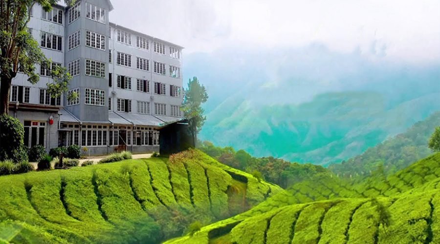 Ceylon-Tea-Museum-1