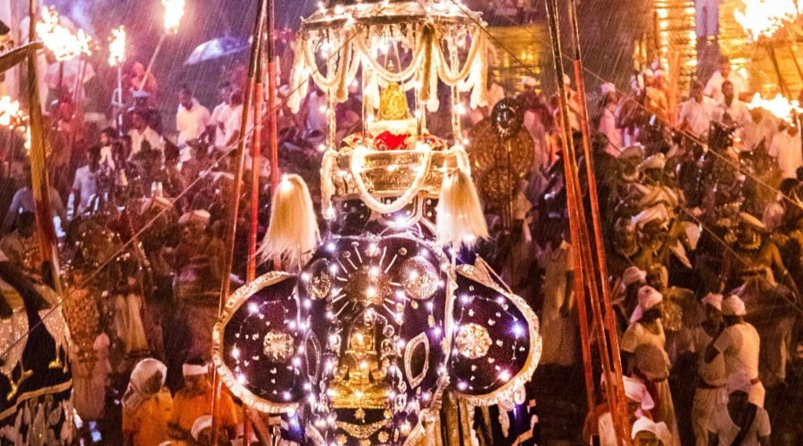 Kataragama-Wasana-Tusker-at-Kandy-Esala-Perahera-2023-Photo-12-of-15