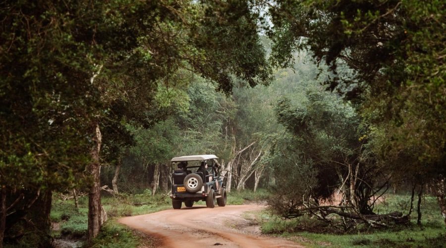 Wilpattu-National-Park-hele-of-halve-dag-safari
