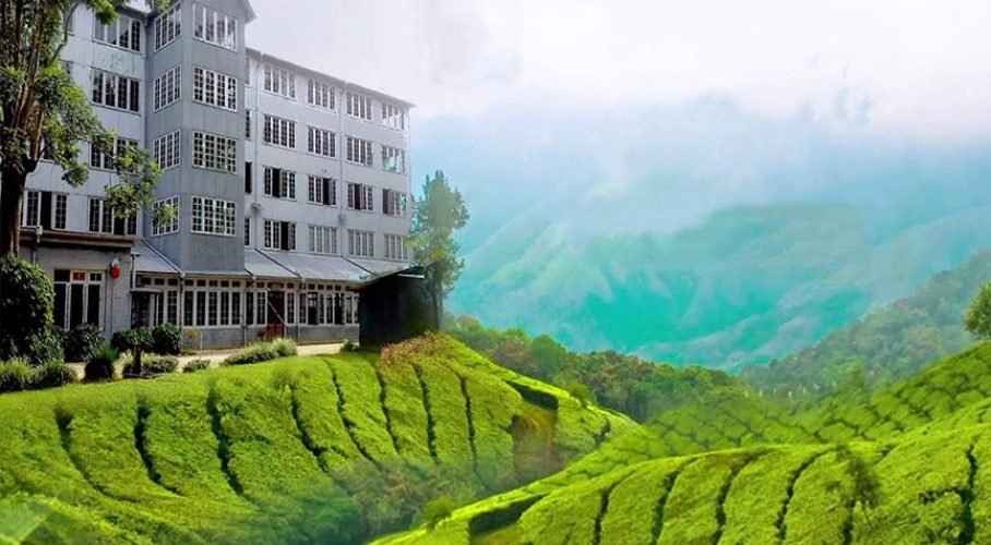 Ceylon Tea Museum overlooking lush tea plantations and misty mountain valleys in Sri Lanka.