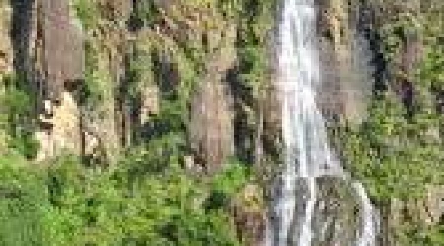 Tropical waterfall cascading down a rugged, sunlit cliff surrounded by lush green vegetation.