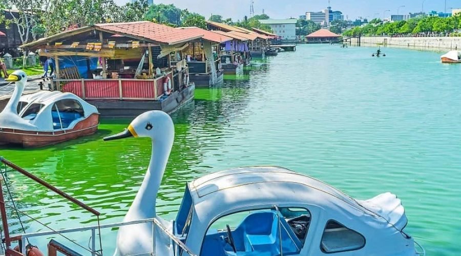 Swan pedal boat on Colombo’s turquoise waterfront beside rustic cafés and lush trees.