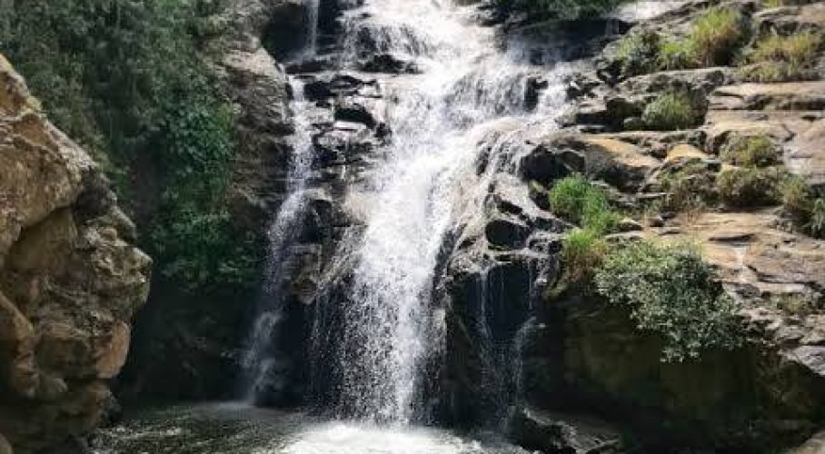 Swimmers enjoy a hidden forest waterfall cascading into a lush, rocky natural pool.