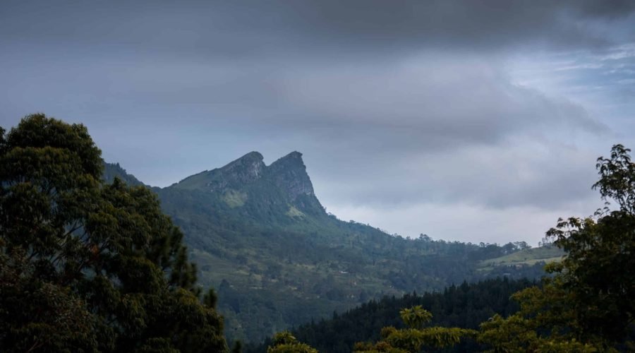 Misty twin-peaked mountain framed by tropical forest beneath dramatic storm clouds.