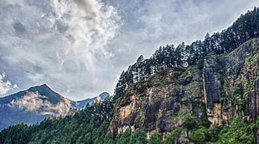 Rocky mountain cliff towers above a dense evergreen forest beneath dramatic clouds.