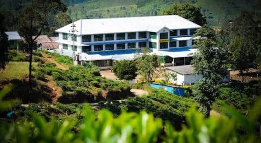 Blue-and-white mountain estate overlooking lush tea plantations and tropical highlands.