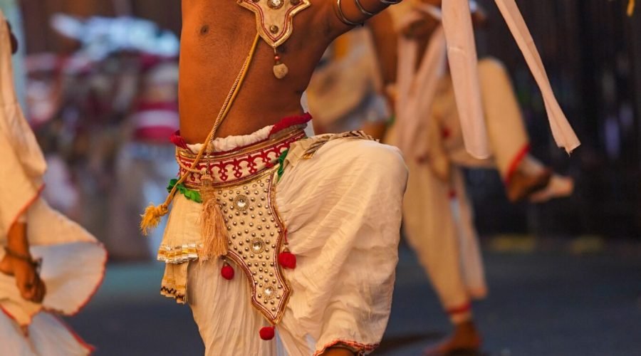 pexels-dinukagunawardana-18157727
