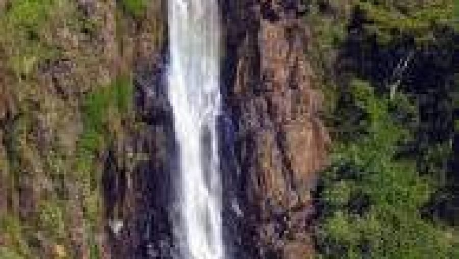 Tall waterfall cascading down a rugged cliff surrounded by lush green vegetation.