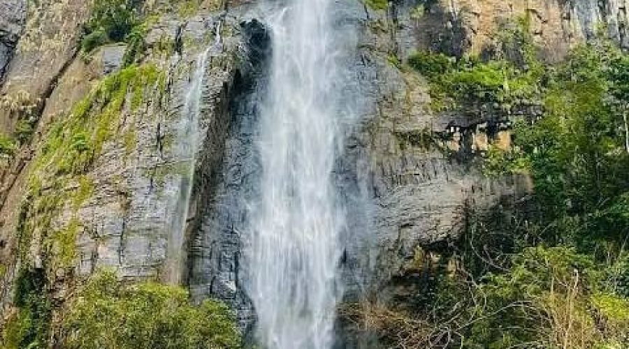 Tall waterfall cascading down a rugged moss-covered cliff surrounded by dense forest.