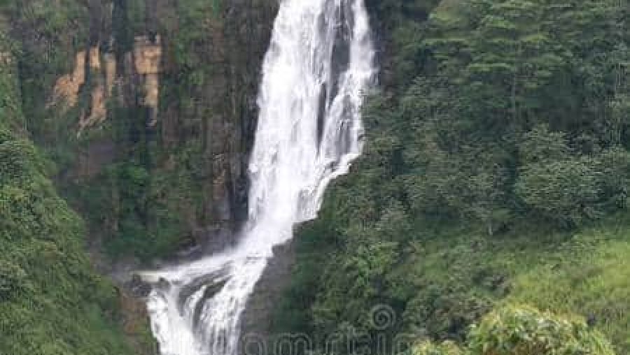 Majestic tropical waterfall cascading down a rugged cliff through lush green rainforest.