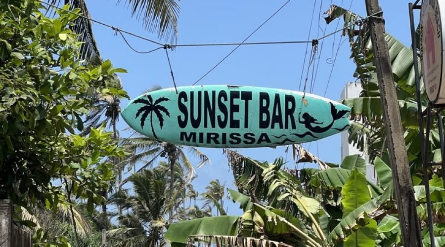 Tropical palm-lined lane leading to Sunset Bar in Mirissa, Sri Lanka.