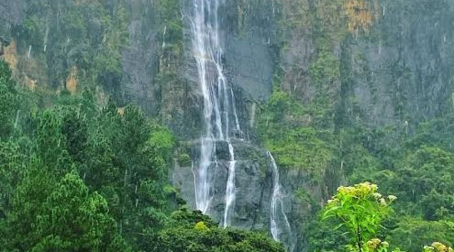 Misty tropical waterfall cascading down a lush rainforest cliff.