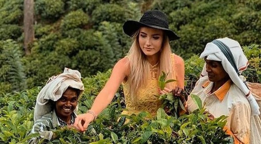 Three women harvesting tea leaves on a lush green plantation hillside.